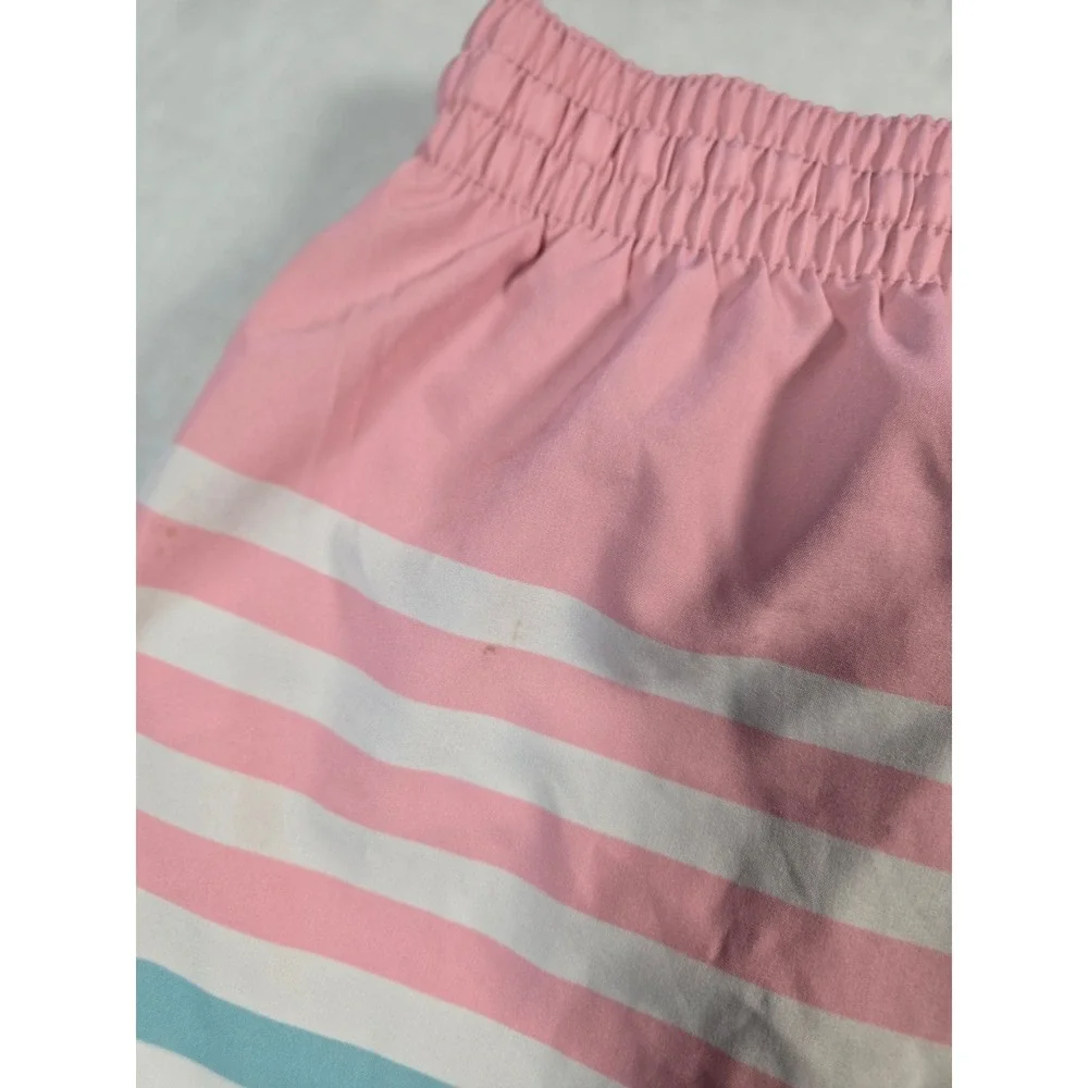 Chubbies‎ Mens Swim Trunks Large Pink Blue Striped 5.5 Inch Inseam Mesh Lined